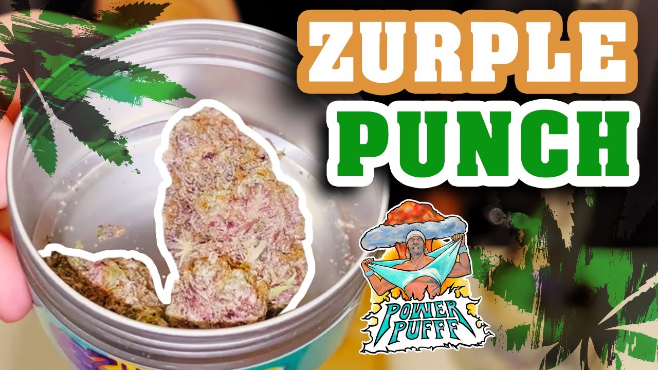 Zurple Punch Strain Review by Power Pufff