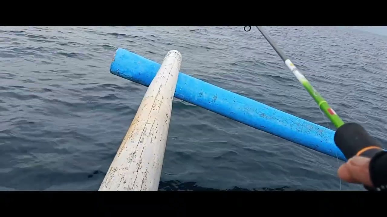 IKAN ASSSSSUUUU DI LAUT MUNCAR