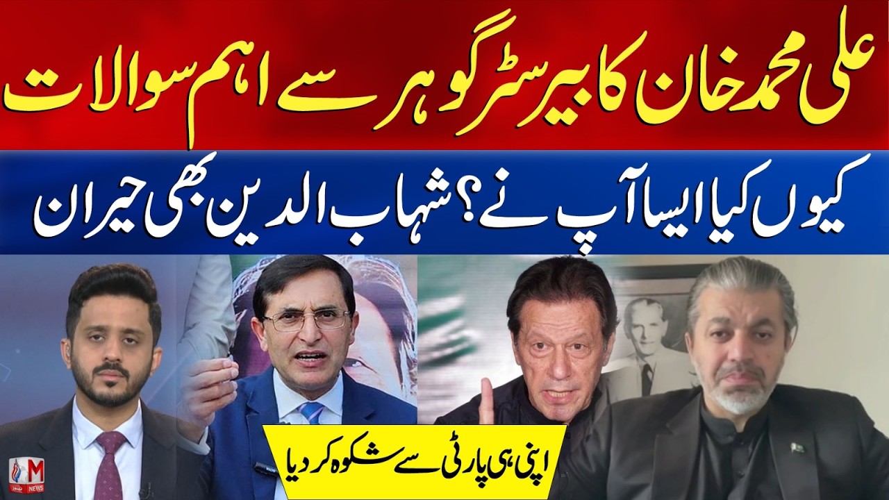 Ali Muhammad Khan Lash Out At Chairman PTI  | M News | Makhdoom Shahabuddin