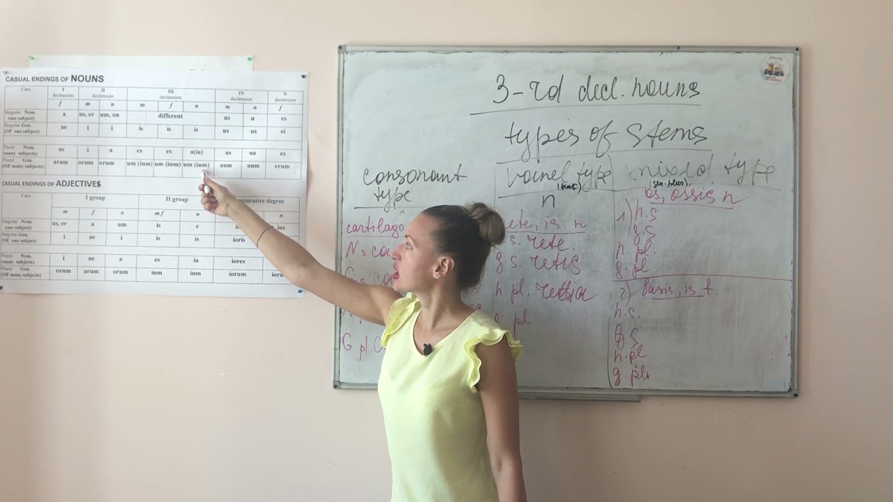 types of the stems for the 3-rd declensions examples