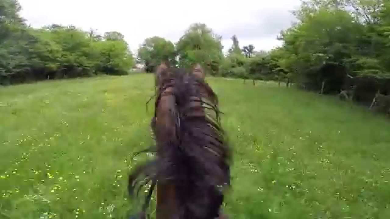 Course pré cheval gopro hero3+