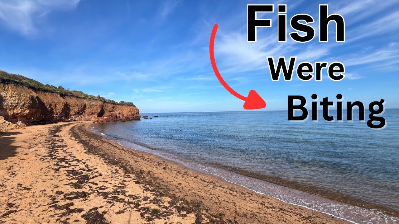 Insane BEACH  FISHING in The middle of the DAY ✅