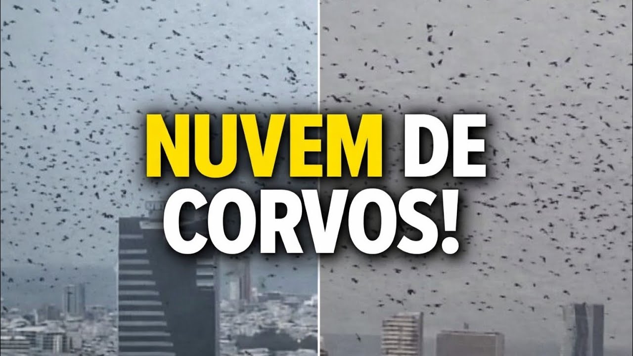 O c&eacute;u ESCURECEU em Tel Aviv milhares de corvos assustam moradores