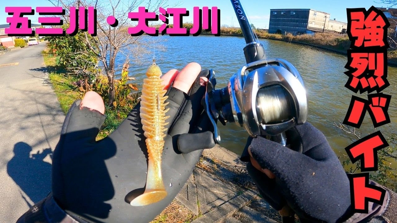 デッドスローラー5.5を障害物に絡めながら巻いてくると唐突に強烈バイト！  [バス釣り] [五三川] [大江川] [五三川バス釣り] [大江川バス釣り] [デッドスローラー]