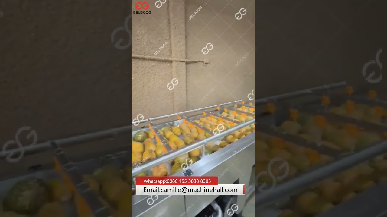 Pineapple Washing Machine