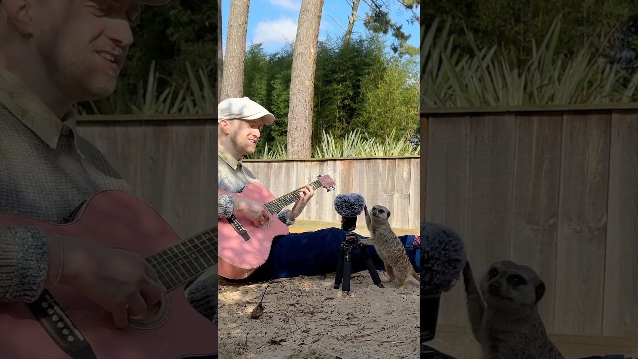 When he grabs the guitar 🥹