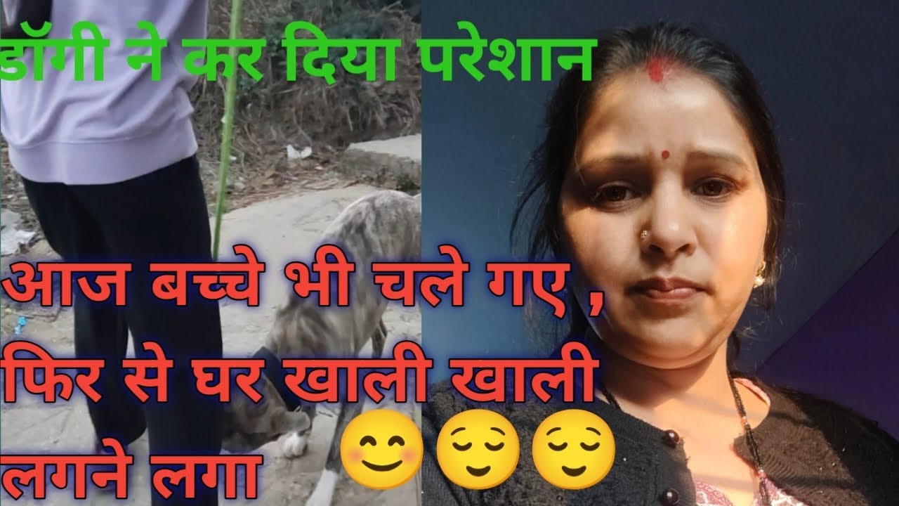 आज बच्चे भी चले गए #😌 फिर से घर खाली -खाली लगने लगा #डाॅगी ने कर दिया परेशान 🥰🥰❤️