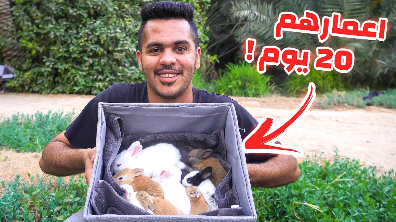 مراحل نمو الارانب لمدة 20 يوم بمساعدة امهم !!