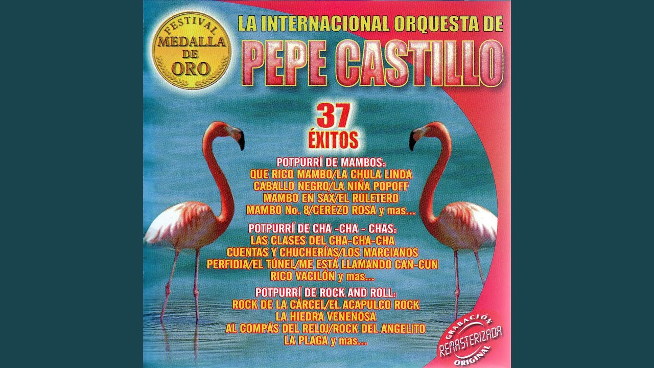 Popurrí de Rock And Roll: Al Compás del Reloj / El Rock del Angelito / La Plaga / El Rock de...