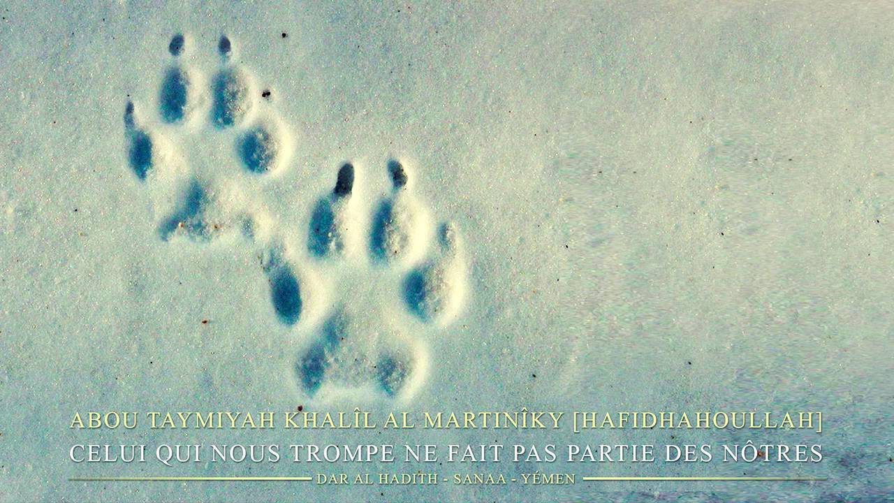 Dammaj - Yémen