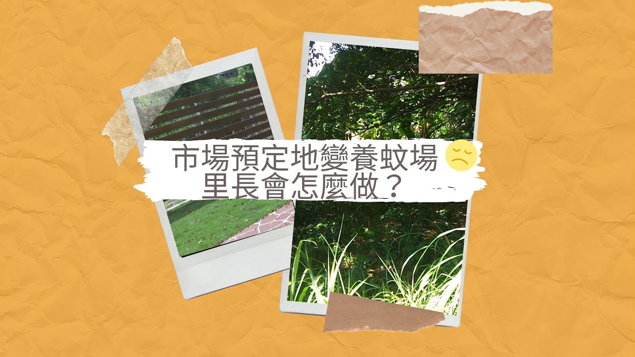 公園 建設│市場預定地養蚊蟲 里長爭取小公園成功