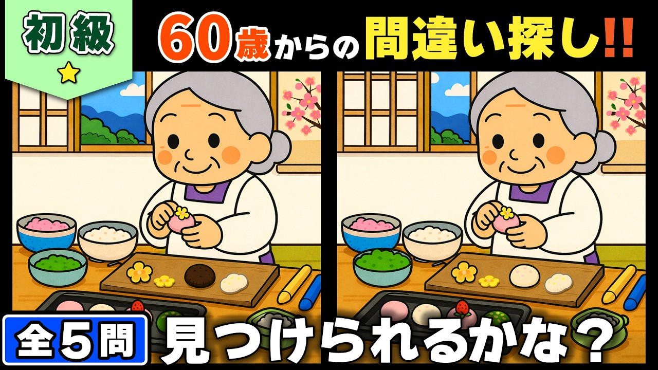 【脳トレ】間違い探し★初級編★全5問｜最後の1問で差がつく！集中力チャレンジ #172