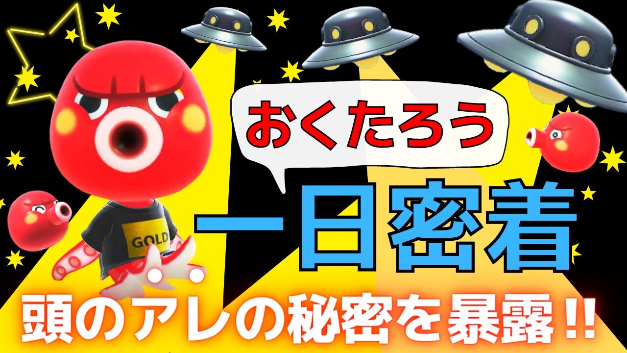 【あつ森】おくたろうに密着！頭のアレの秘密がついに解明される！