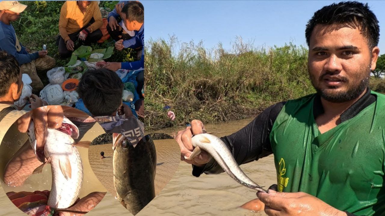 ធីមបង់ត្រីខាងបាត់ដំបងបង់លក្ខណះគ្រួសារត្រីសប្បាយៗណាស់