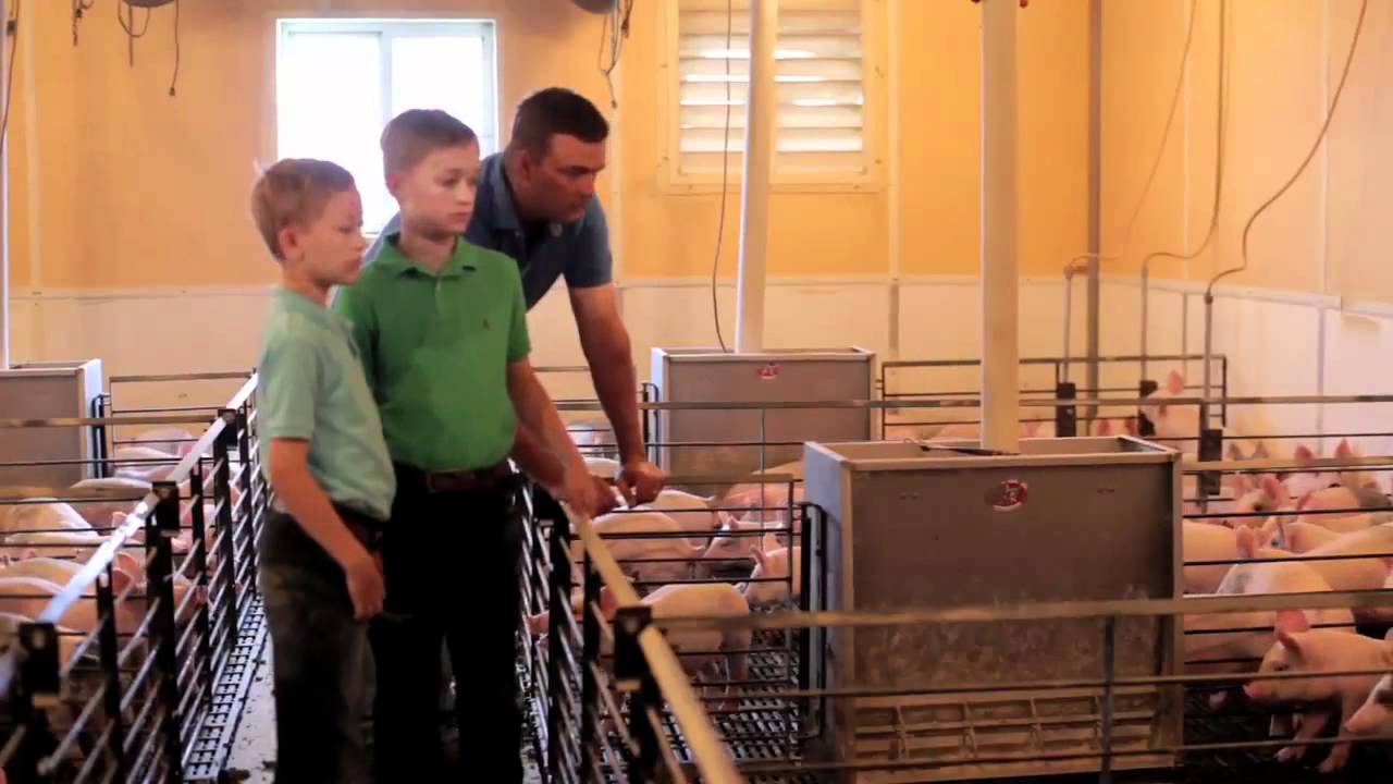 Meet an Ohio Pig Farmer - I'm Farming and I Grow It