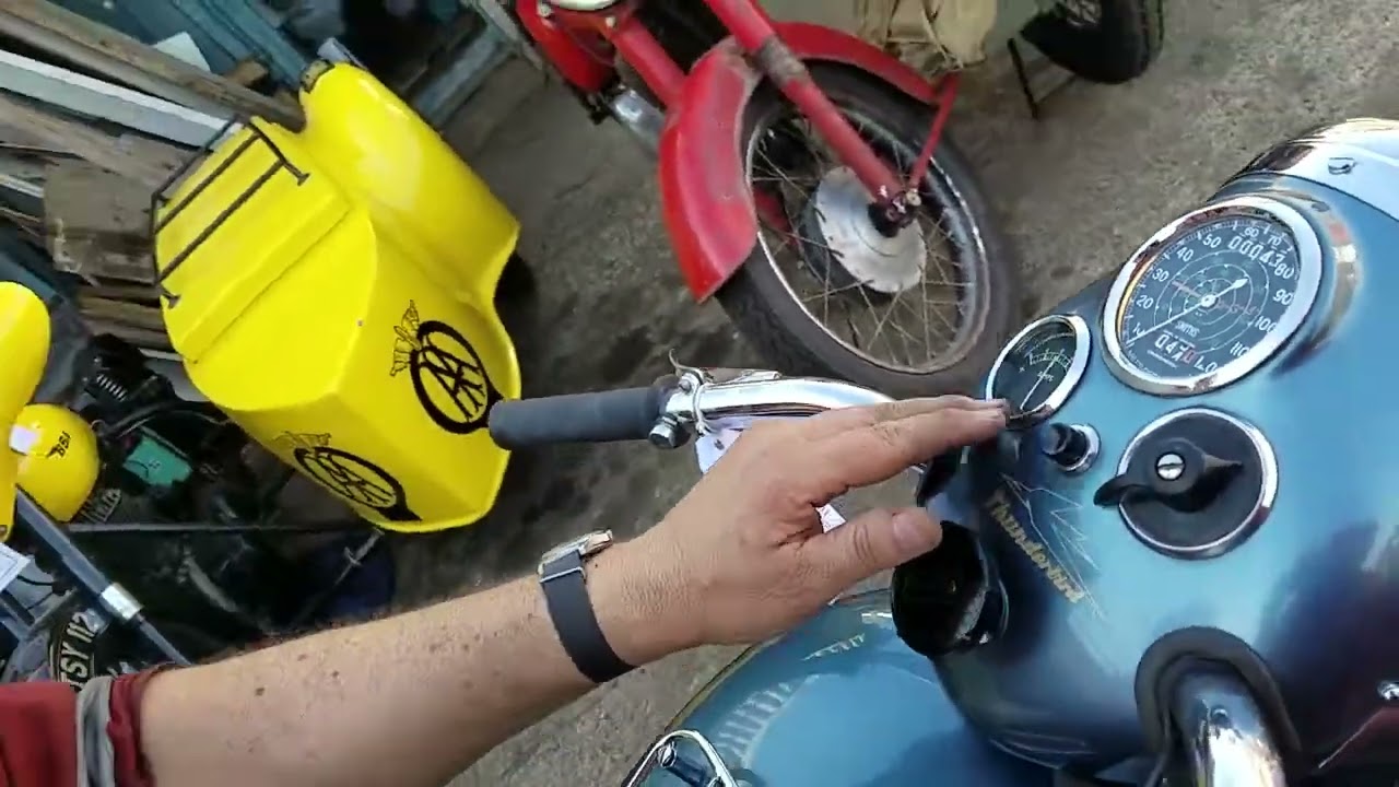 1954 Triumph 6T Thunderbird 650cc at Andy Tiernans #08224TRI