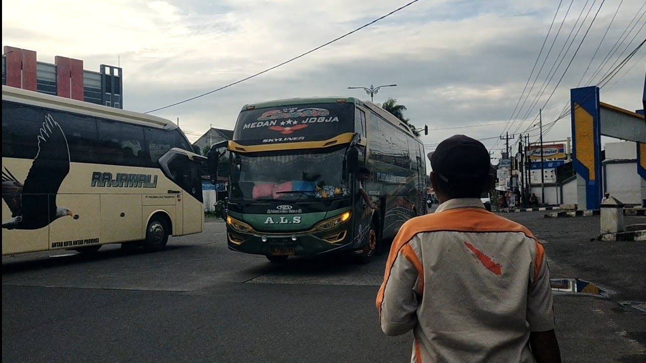 PAK BUYUNG BAHAGIA BISA MEMILIKI AYAM INI ‼️BUS ALS 248 TIBA DI KOTA JOGJAKARTA 
