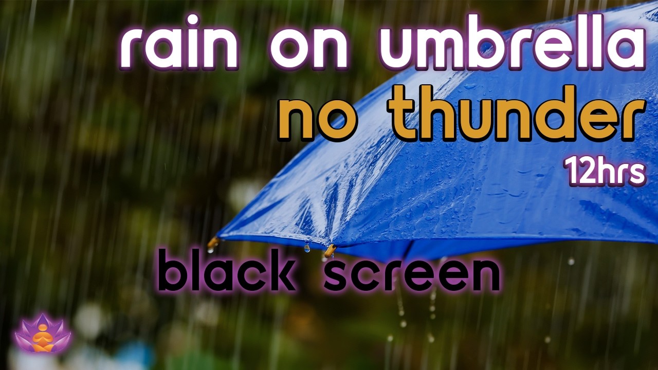 [Black Screen] Sheltered Under Umbrella | Rain on Umbrella – No Thunder | Sleep Rain Sounds