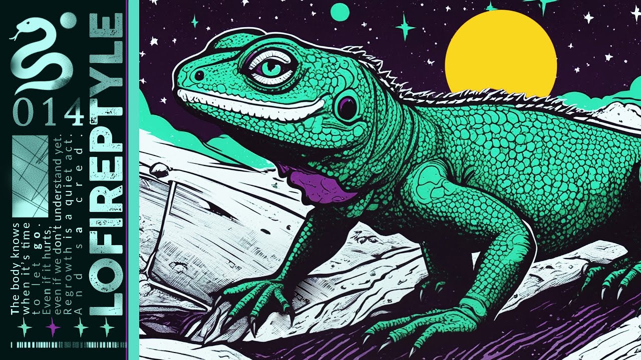 You're Not Lost, You're Just Exploring | Galactic Beats Session