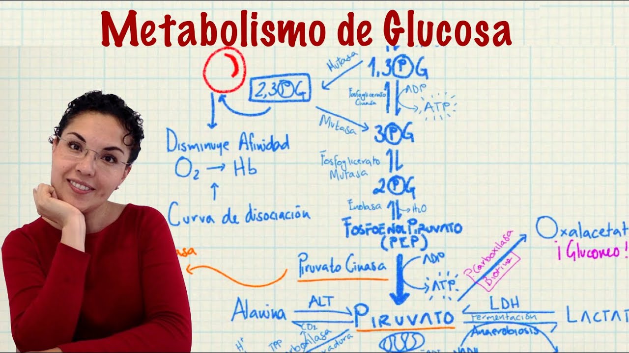 Metabolismo de Glucosa