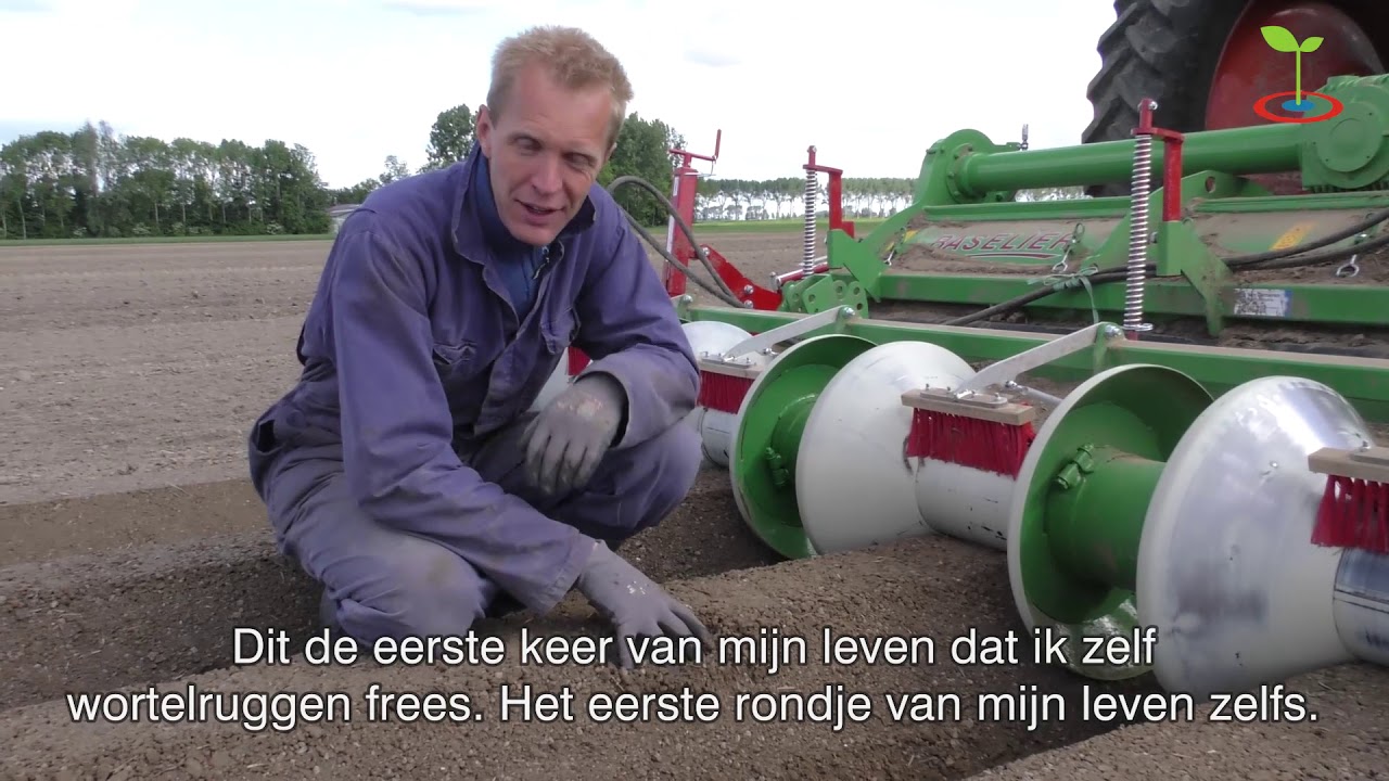 Strokenlandbouw bij Cornelis Mosselman in Ooltgensplaat