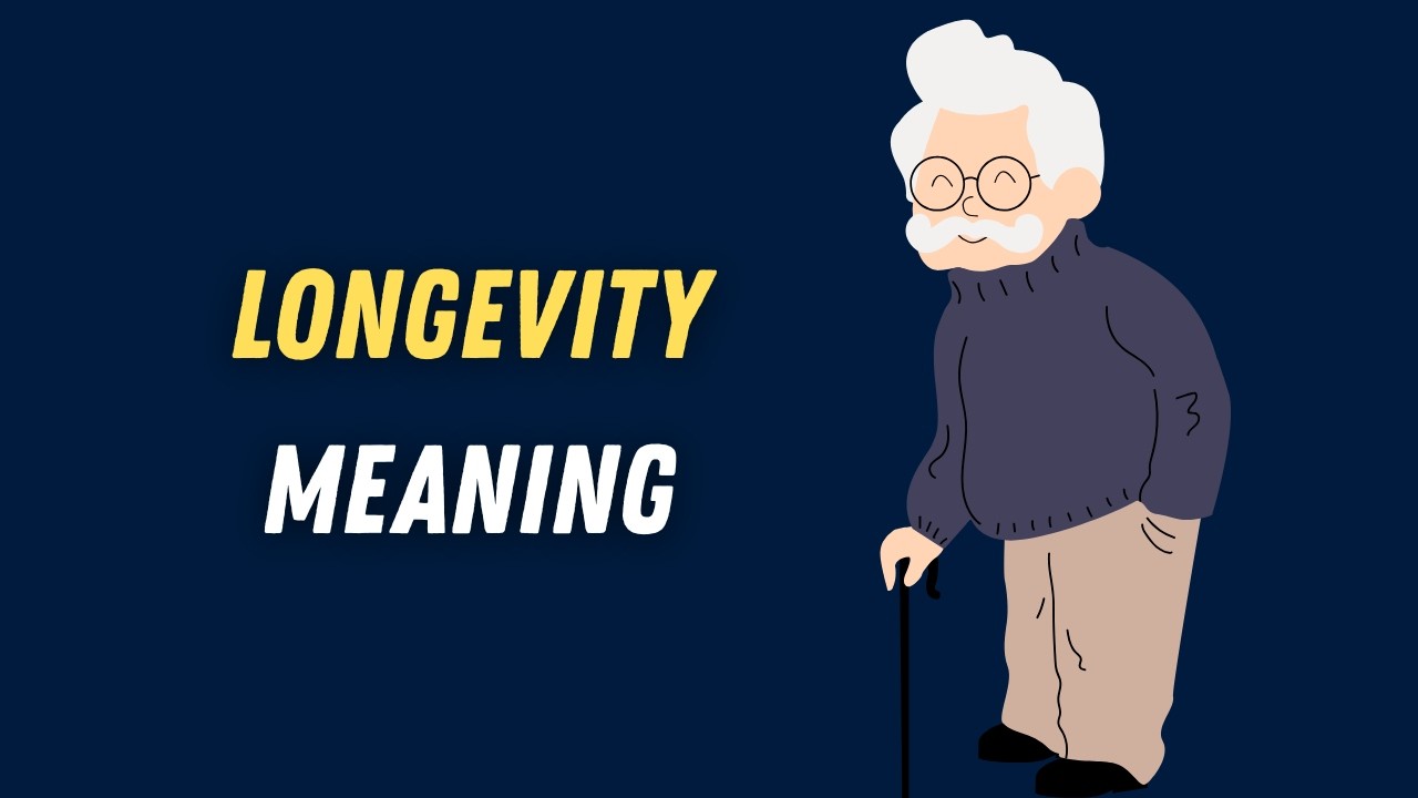 Longevity Meaning in English | Longevity Definition + Examples | Easy Vocabulary