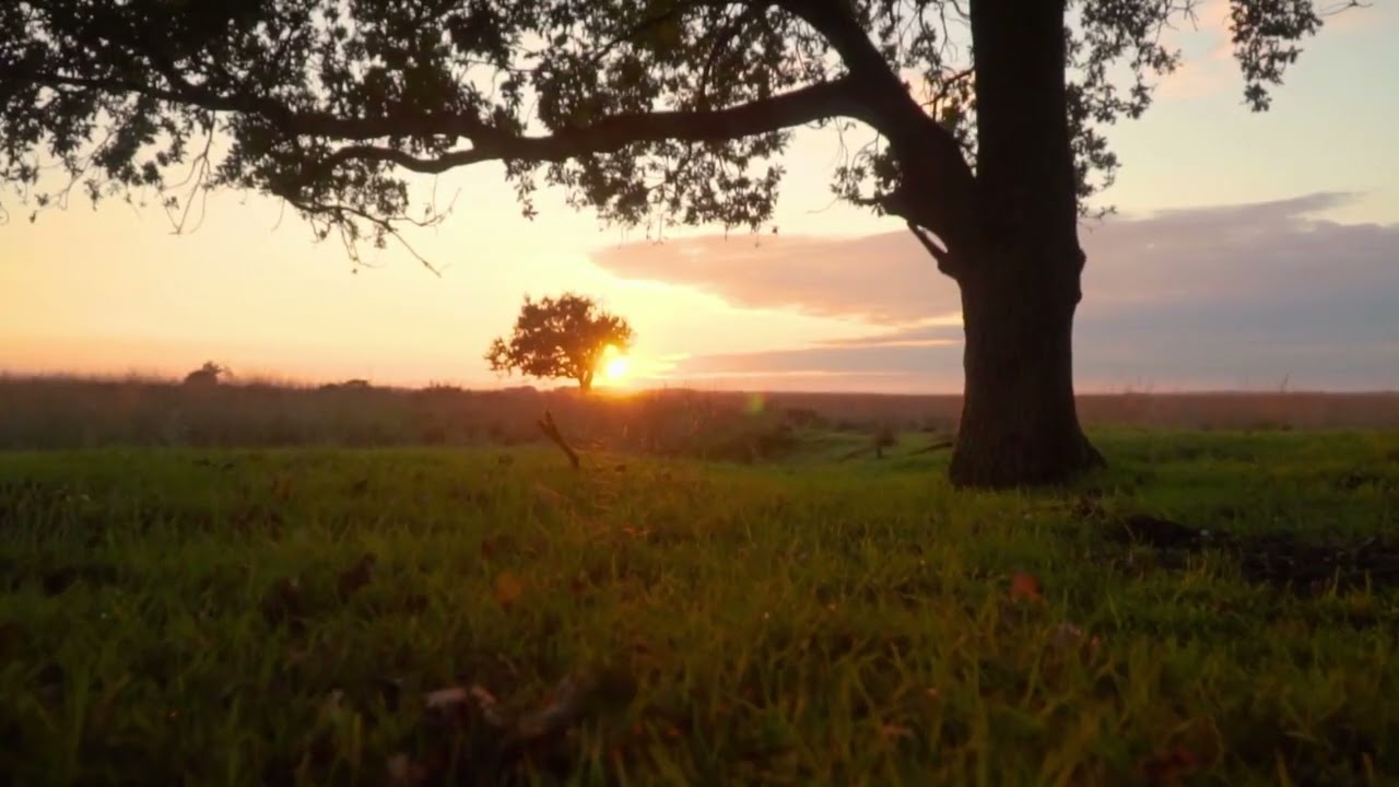 4K Golden Hour Meditation | Long Nature Video for Relaxation