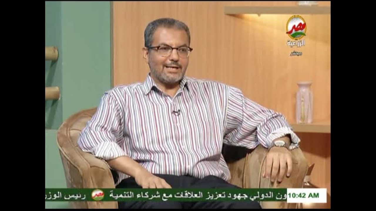 التناسل والاستثمار في تربية الجاموس