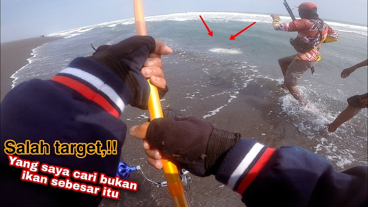 🔴20Kg!!,niatnya cuma Mancing ikan kecil malah di sambar ikan BESAR