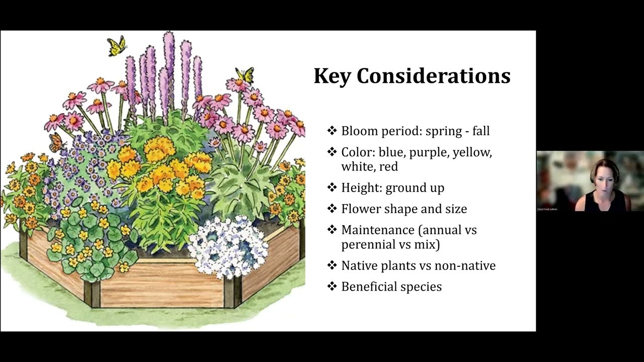 Benefits for Beneficials: Habitat Hedges Webinar