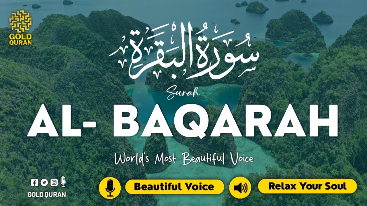 Surah Al Baqarah Complete Recitation (سورة البقره) Soothing Recitation | Relaxing Quran Recitation