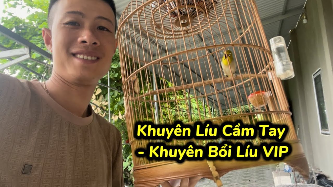 27.9 - Khuyên Thuần Líu Cầm Tay Đặt Bàn / Chim Mộc Líu Tố Chất Rất Mau Bắn Như AKa