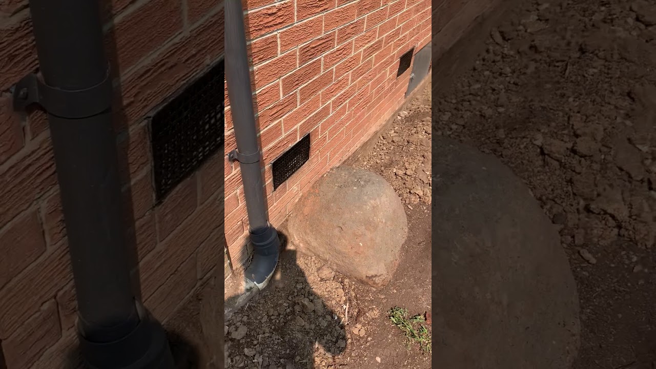 Termite Chemical Soil Treatment