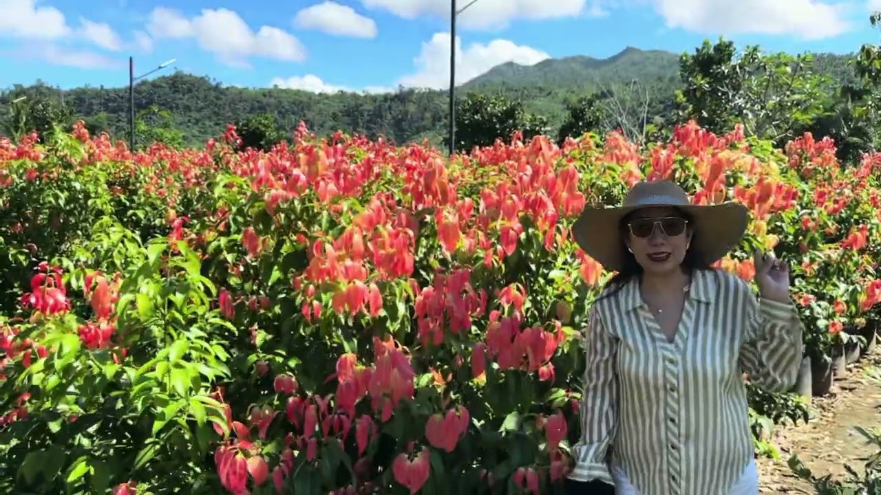Part 1: Got a chance to visit one favorite gardens again 🥰 Mother Earth Gardens Landscaping