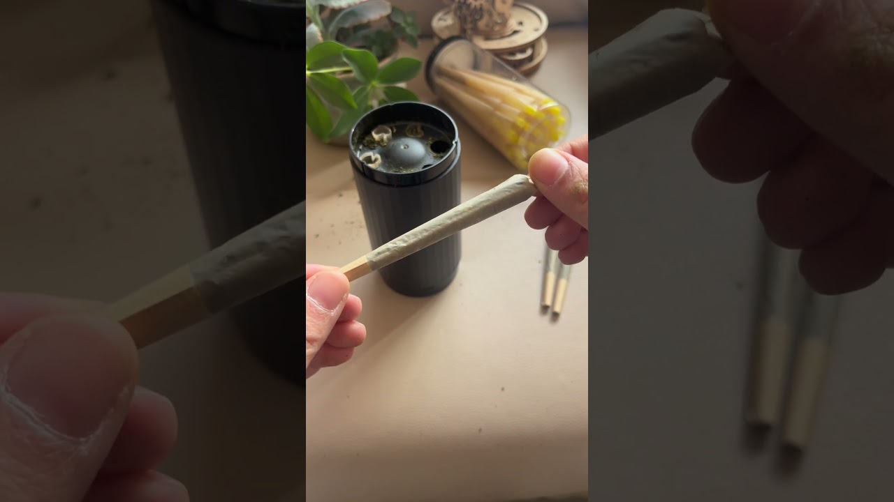 Fill 6 Cones at Once! The Ultimate Electric Vibrating Pre-Roll Filler &ndash; Fast, Easy & Even!