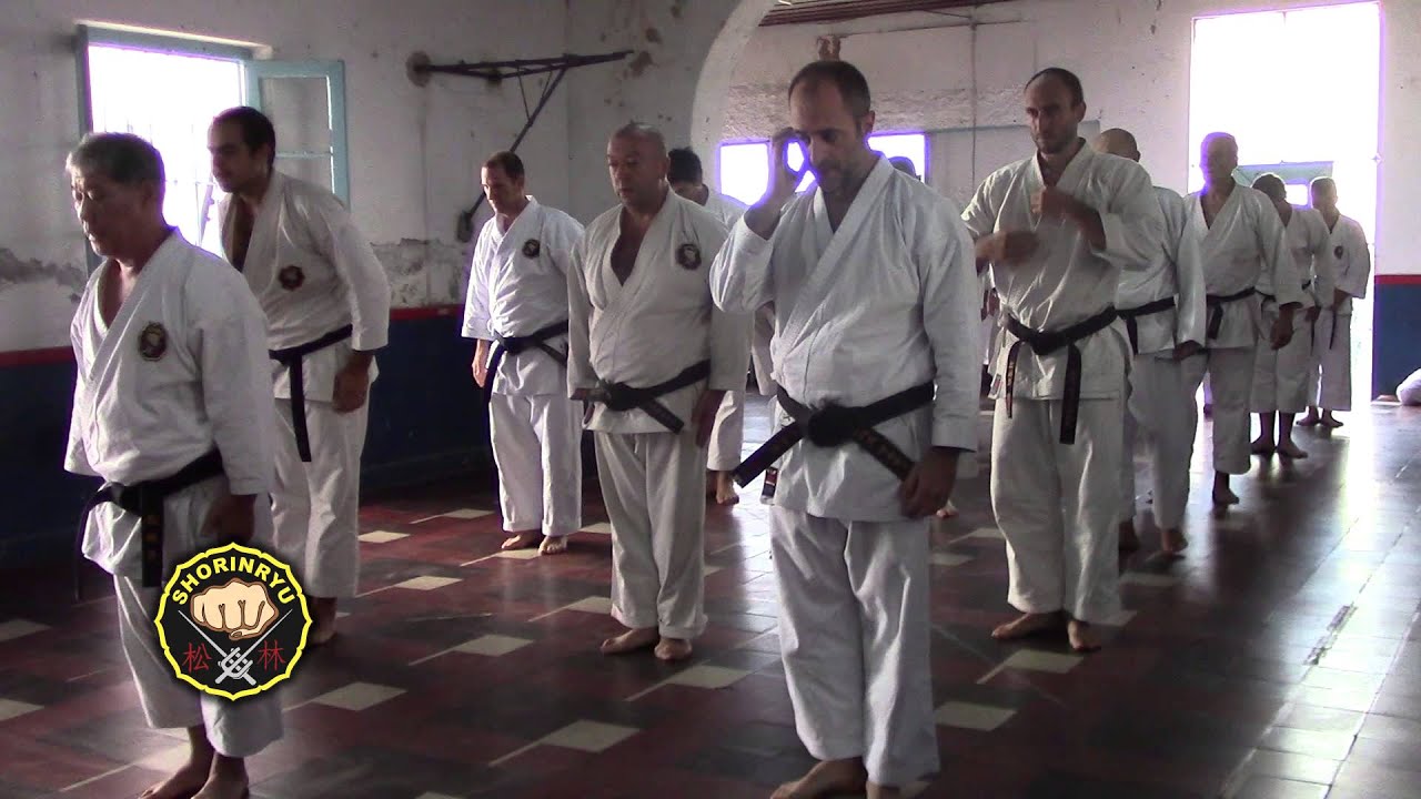 SHORIN-RYU MATSUBAYASHI PRACTICA FRAY BENTOS