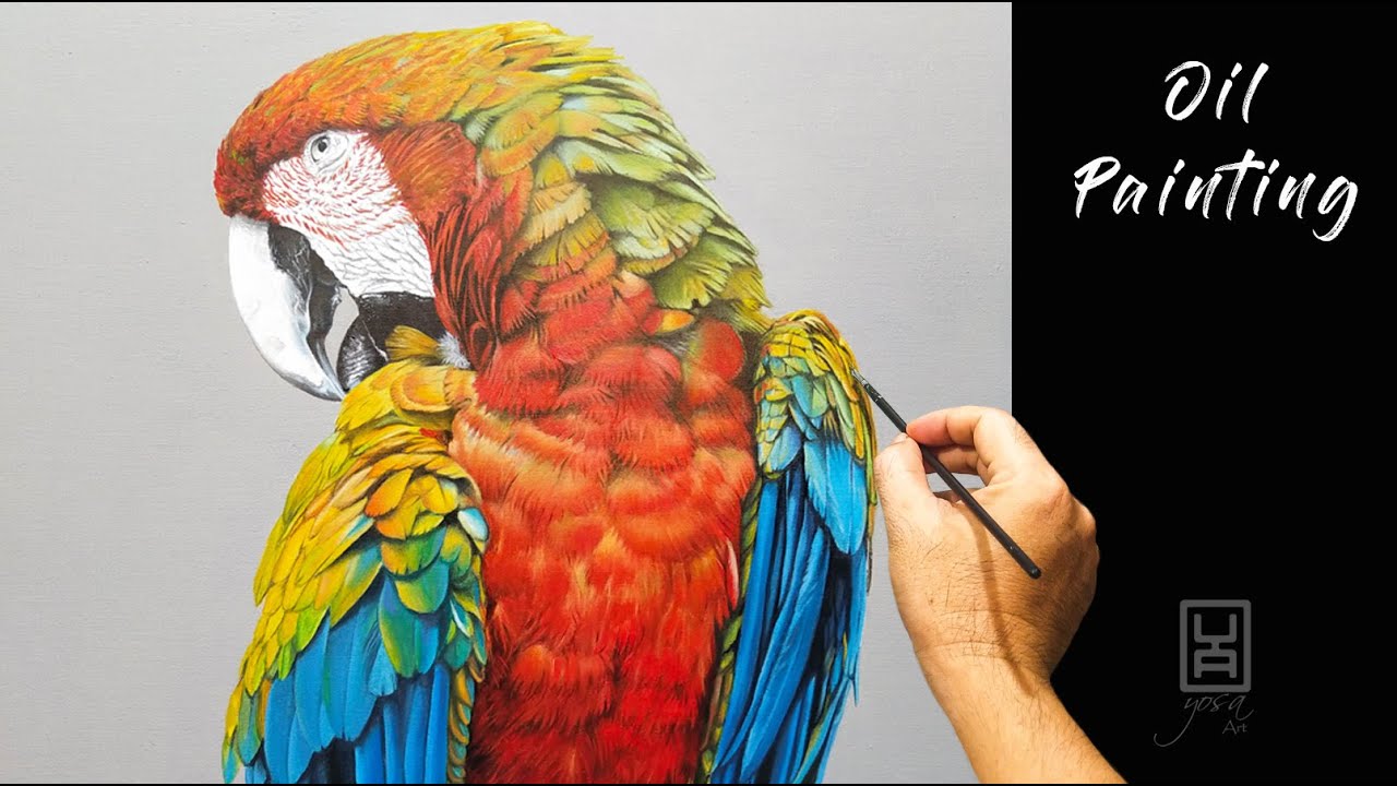 Bird ( Macaw ) Painting Using Oil Paint #10