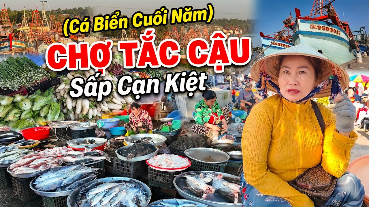 Khủng Hoảng Chưa Từng Thấy Chợ Tắc Cậu Nguồn Cá Cạn Kiệt Bất Ngờ | Kể Chuyện Đi Mỹ Như Thế Nào?