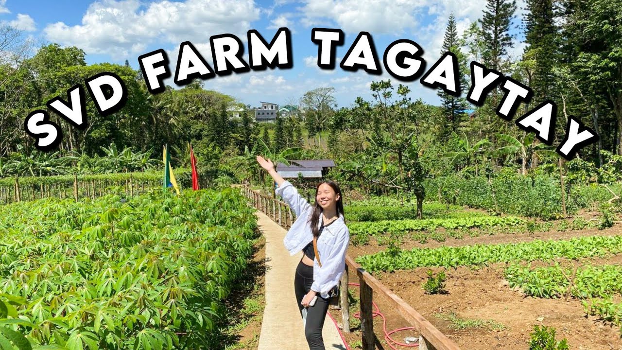 Hidden Farm In Tagaytay Vlog / SVD Farm | Ericka Javate