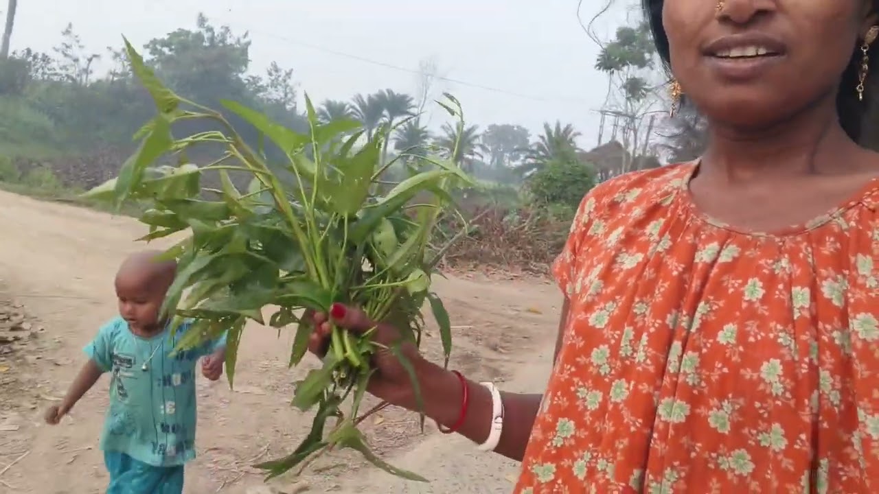 #সকাল _সকাল _কমলি _শাক _নিতে_ আসলাম