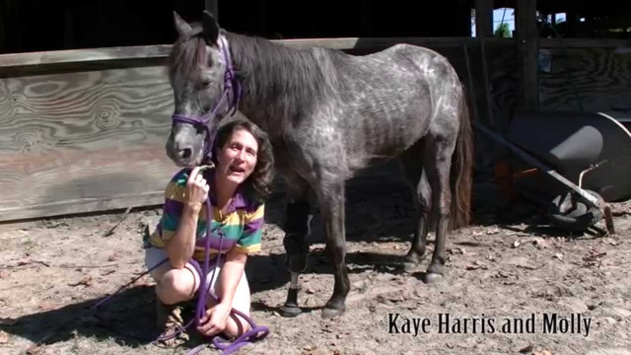 Molly the Pony and Kaye Harris
