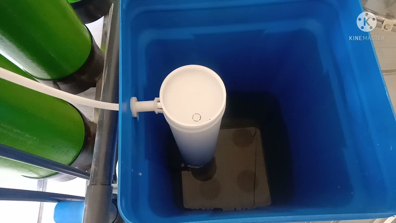 #pano mag backwash ng multimedia