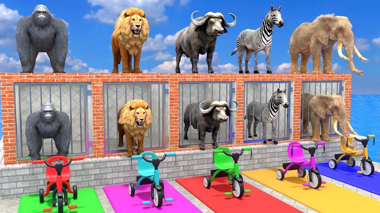 Long Slide Game With Cow Elephant Gorilla Hippopotamus Tiger - 3d Animal Game - Funny 3d Animals.