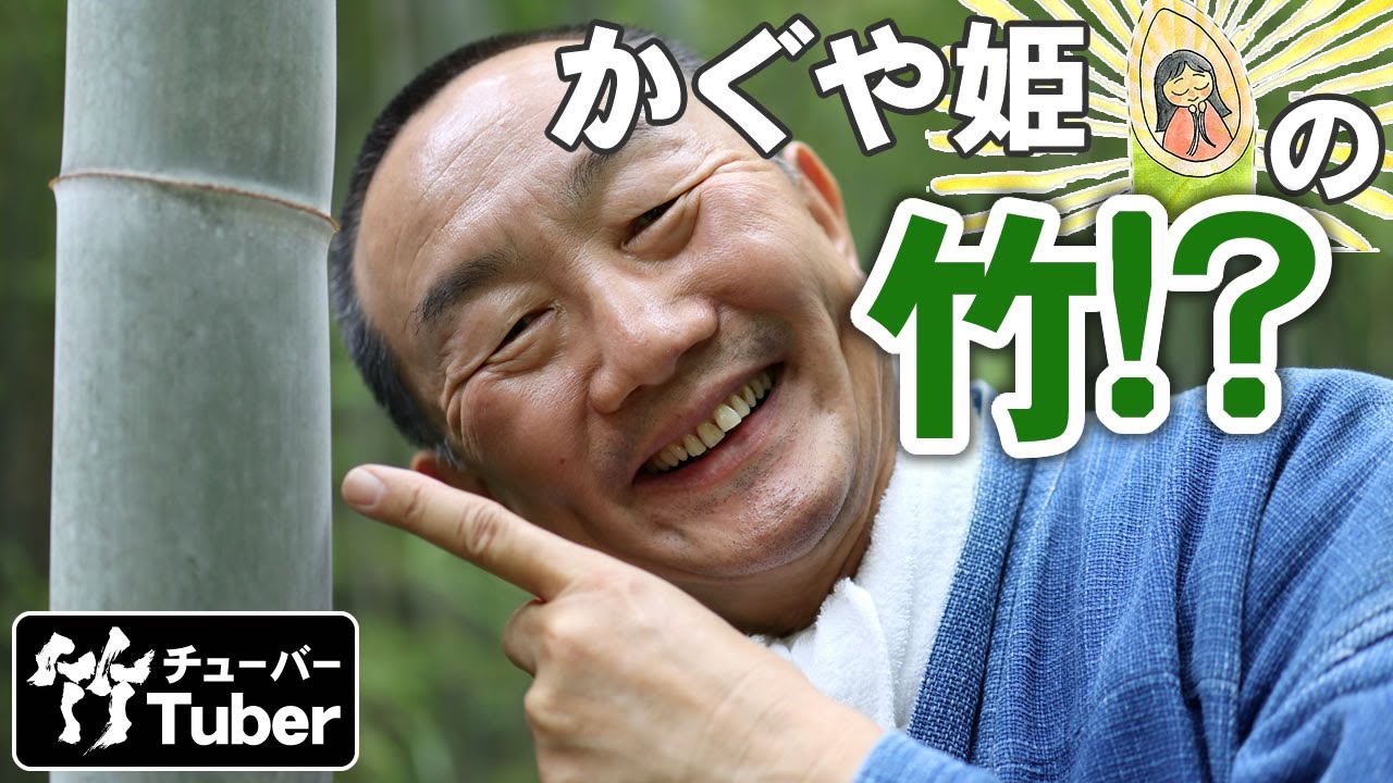 【竹虎】発見！竹取物語かぐや姫の竹！？梅雨の孟宗竹林にて！竹チューバー竹虎四代目の世界 bamboo