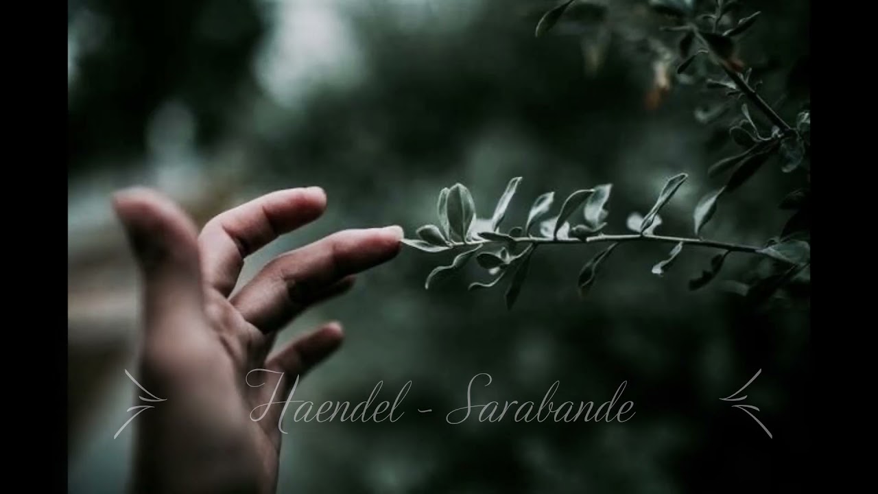 Run Away .....- Dark Academy