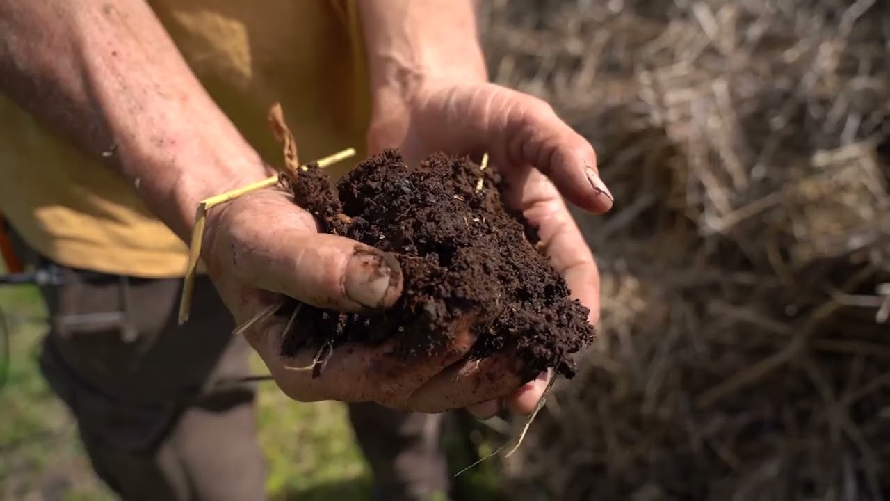 Permanent bed systems, composting and bed preparation in regenerative organic farming in Hungary