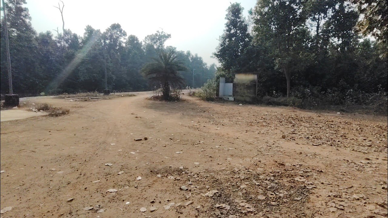 বিরসা মুন্ডা হল স্টেশন নিয়ে