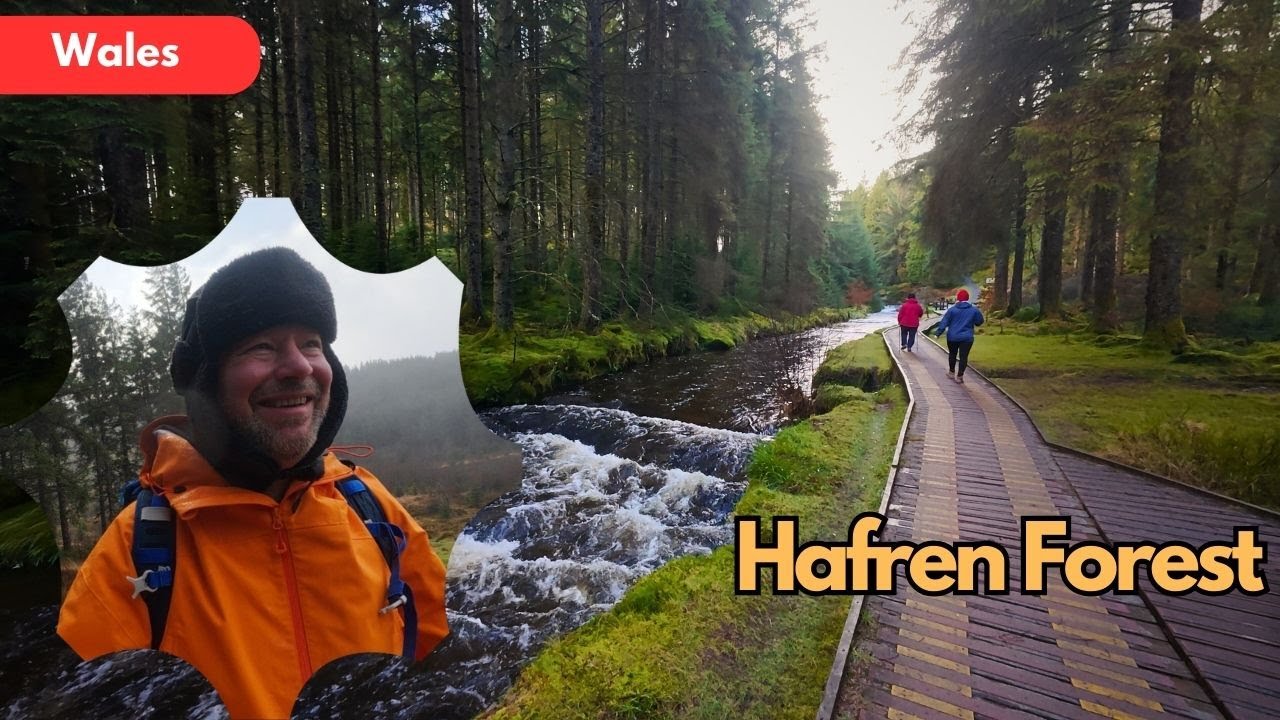 Explore the Stunning Boardwalk in Hafren Forest | Best UK Walking and Hiking Trails