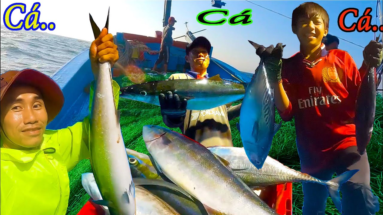 Bủa 7 lý Lưới,Kéo Cá Sọc Dưa,Cá Chù,Cá Sòng Vip║LƯỚI XÙ NỔI 2.fishing net