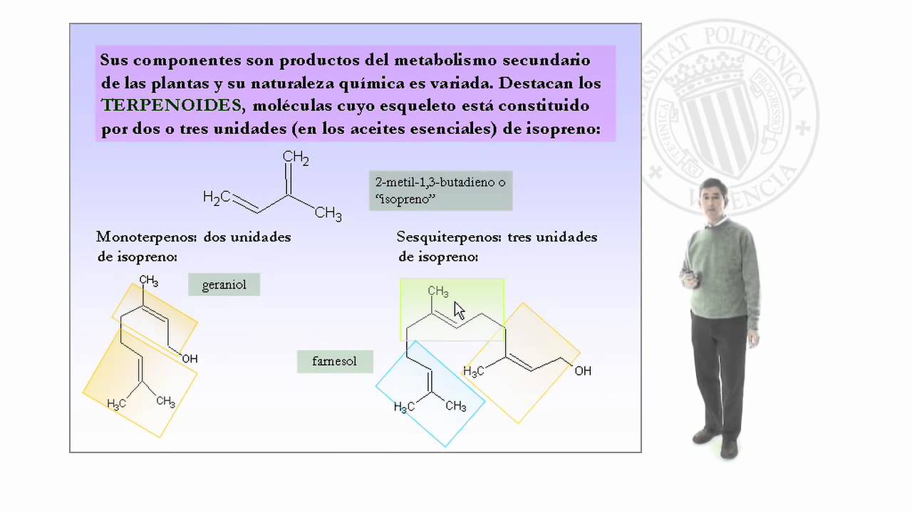 Obtención de aceites esenciales mediante destilación por arrastre de vapor (equipo Clave | 5/5 | UPV